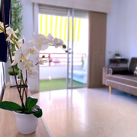 Apartment Tropicalidays Palmeras Del Sur Costa Adeje (Tenerife)